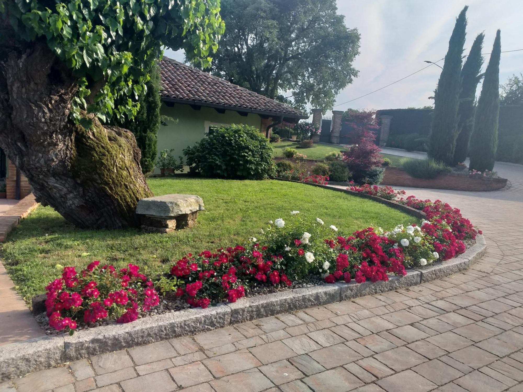 B&B La Bianchina Monale Exteriér fotografie
